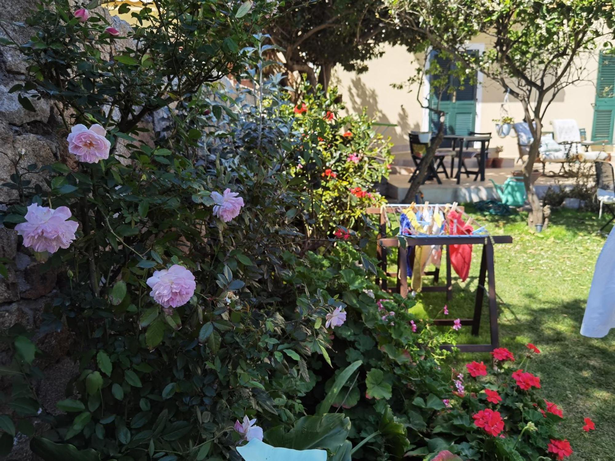 Il Giardino Di Tatiana Rooms & Breakfast La Maddalena  Quarto foto