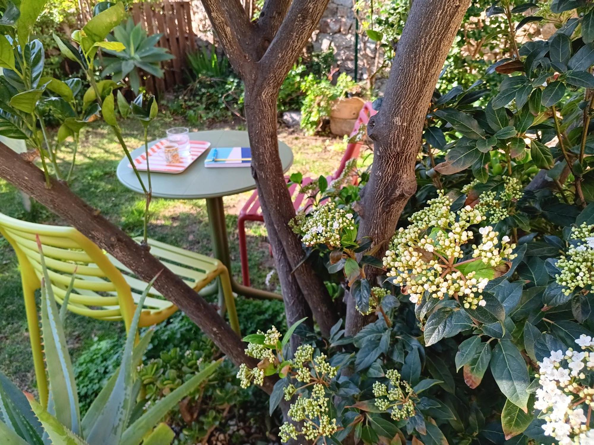 Il Giardino Di Tatiana Rooms & Breakfast La Maddalena  Quarto foto